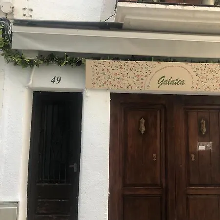 Daire Calle Mayor 49